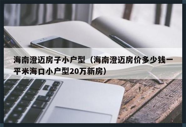 海口小户型 20 万新房，新楼盘闪耀登场！