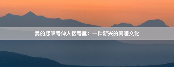 男的感叹号伸入括号里：一种新兴的网赚文化