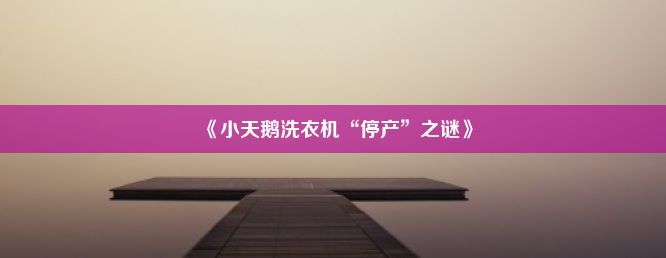 《小天鹅洗衣机“停产”之谜》