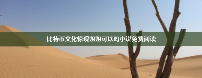 比特币文化惊现姐姐可以吗小说免费阅读