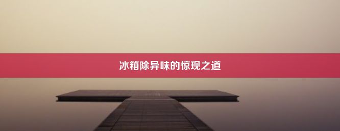 冰箱除异味的惊现之道