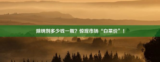 除锈剂多少钱一瓶？惊现市场“白菜价”！