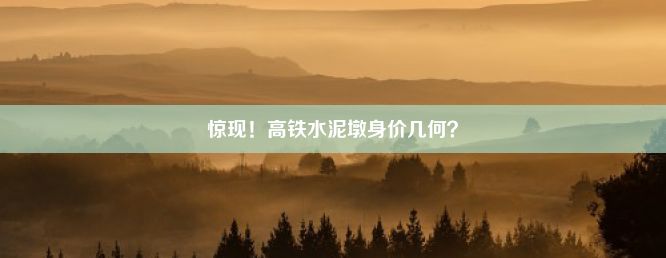 惊现！高铁水泥墩身价几何？