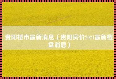 贵阳房价 2023 最新楼盘消息：新楼盘抢先看，自主选择心仪家