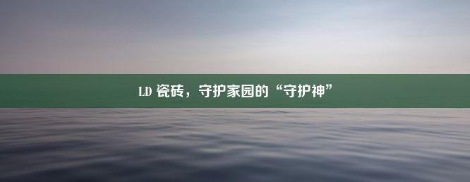 LD 瓷砖，守护家园的“守护神”