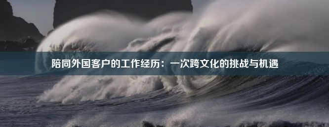 陪同外国客户的工作经历：一次跨文化的挑战与机遇