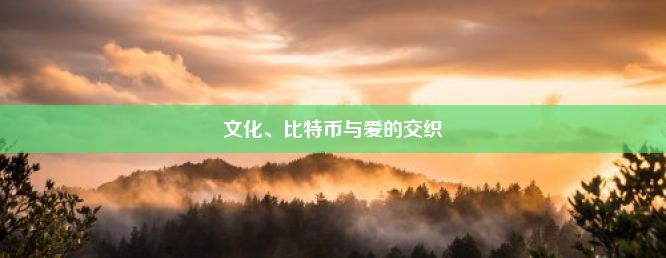 文化、比特币与爱的交织