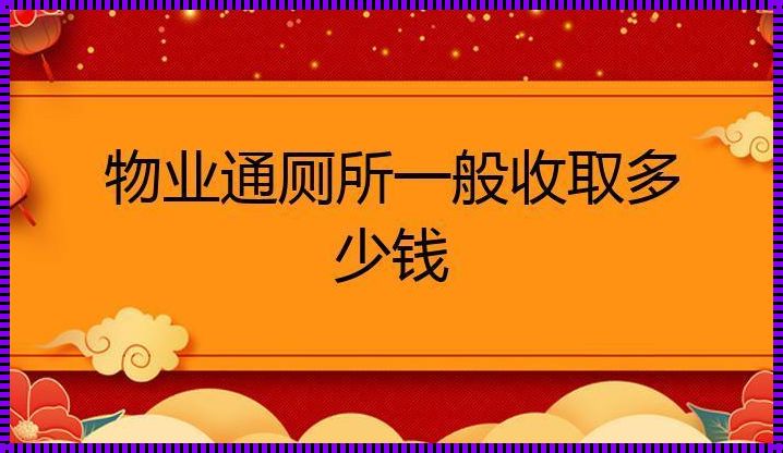 通厕一“点击”多少钱——时代变迁中的民生观察