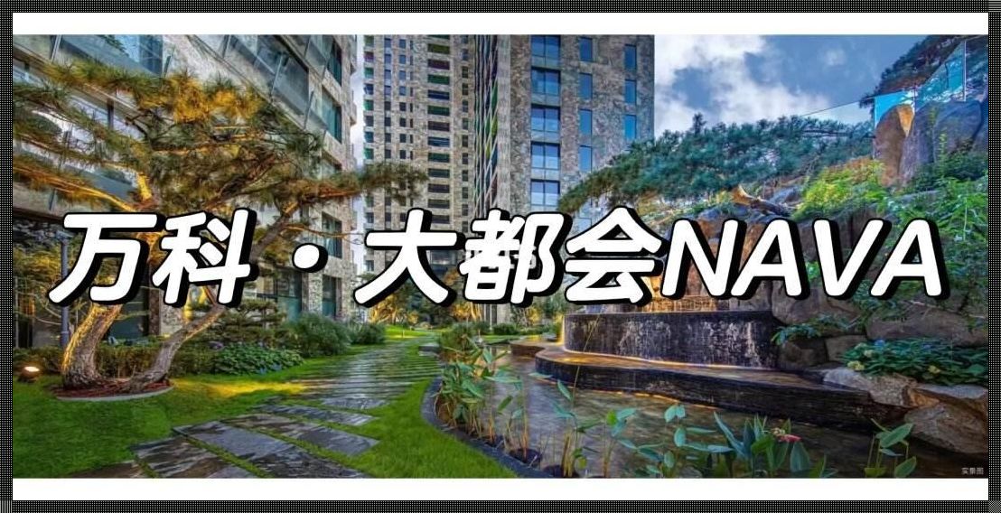 万科大都会NAVA：北京的惊现