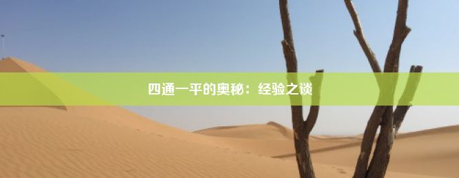 四通一平的奥秘：经验之谈