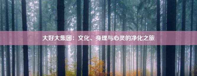 大好大集团：文化、身理与心灵的净化之旅