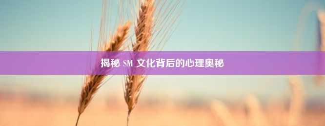 揭秘 SM 文化背后的心理奥秘