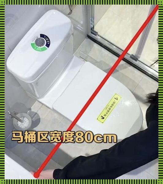 卫生间布局，马桶两边各留 15cm 够吗？