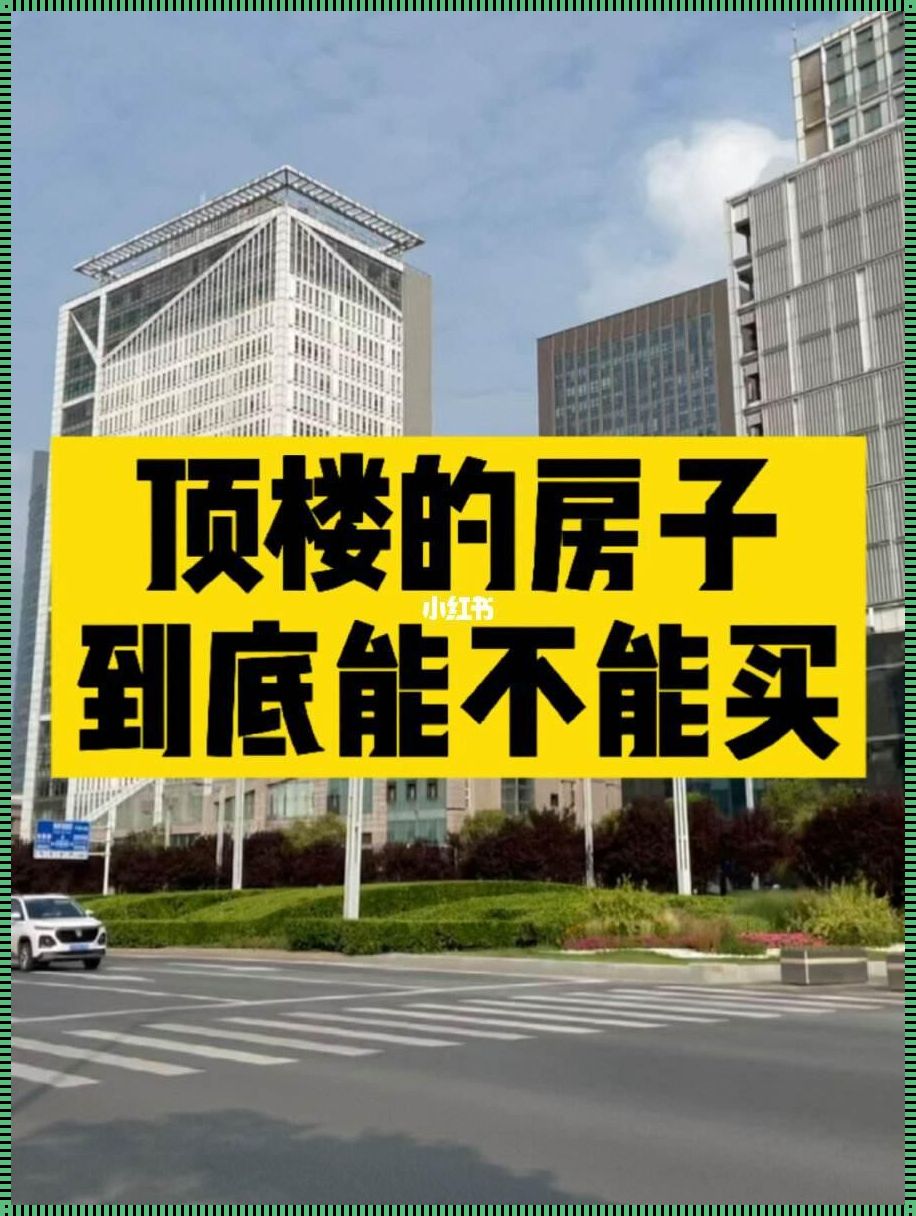 顶楼之秘：豪宅之巅的诱惑与挑战