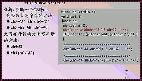 探秘 C 语言入门教程视频：文化、跑步与惊现