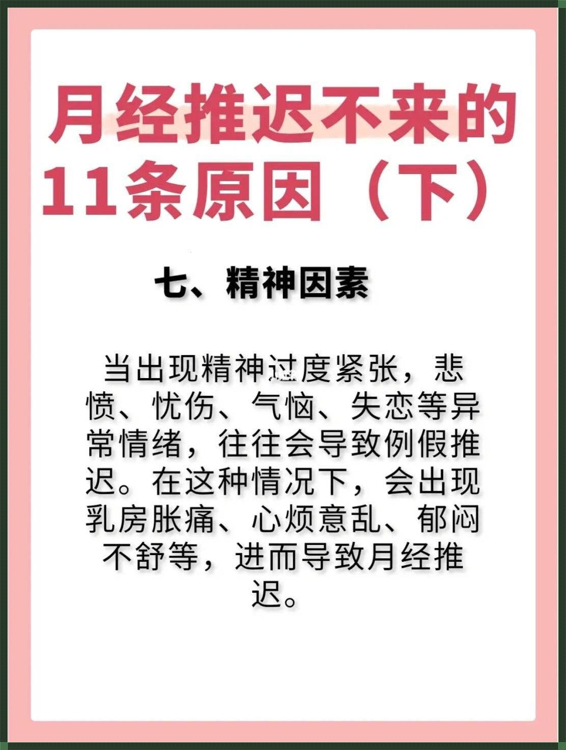 《月事之谜：揭秘月经期间的特殊需求》