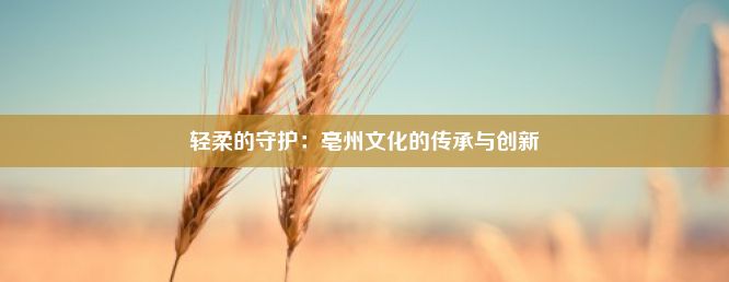 轻柔的守护：亳州文化的传承与创新