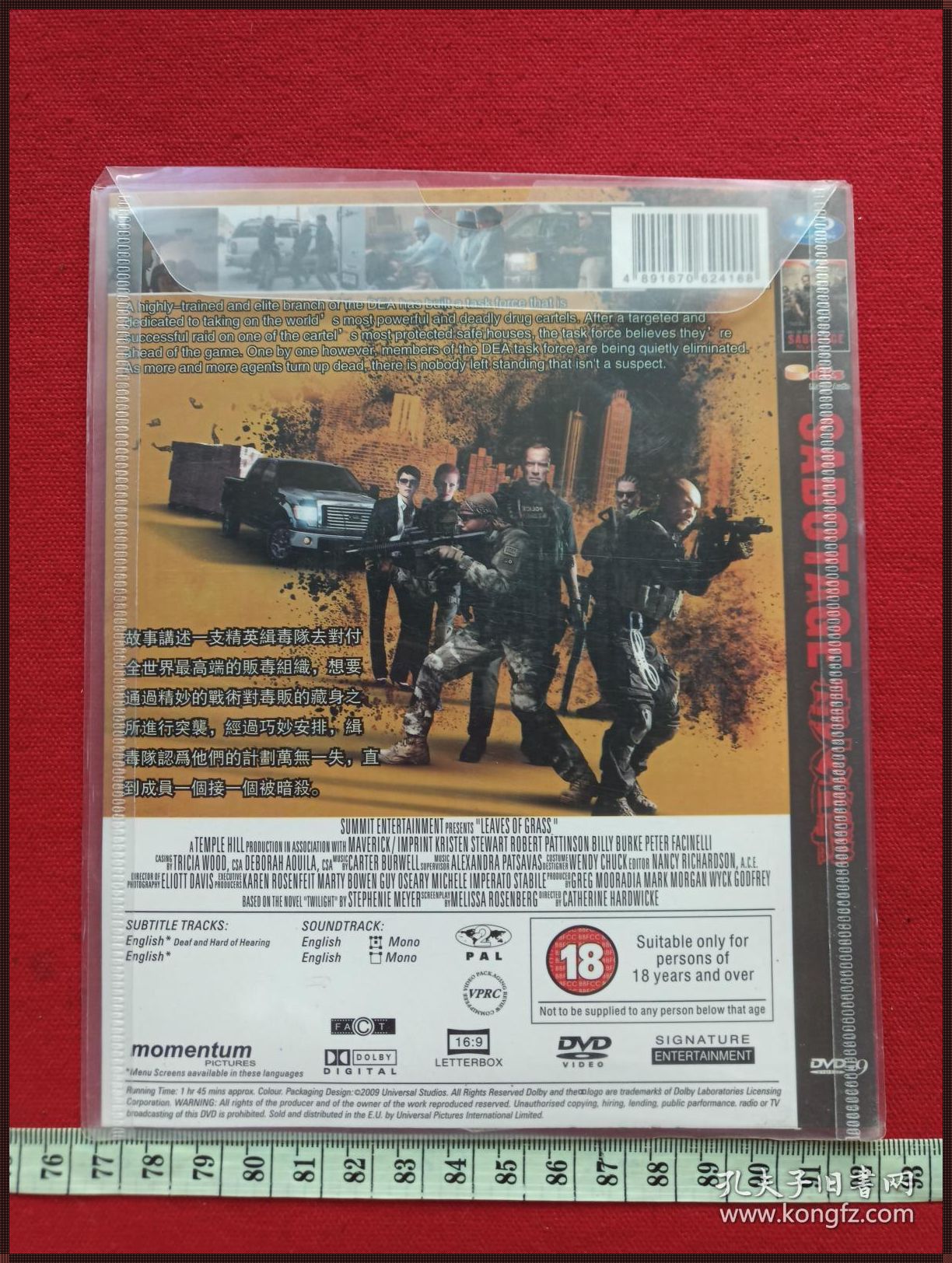 《盘锦文化探秘：合理消费与大片 DVD》