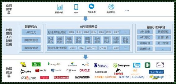 健康素材惊现！免费的 API 接口网站助力创作无限可能