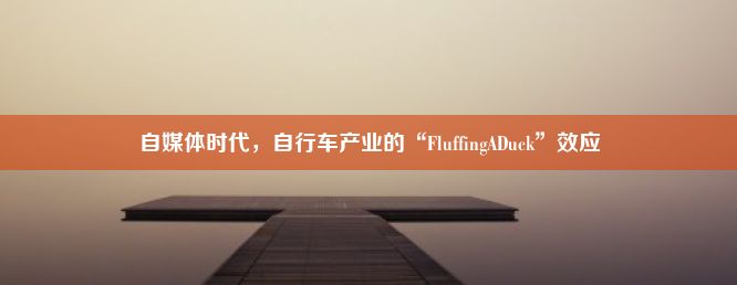 自媒体时代，自行车产业的“FluffingADuck”效应