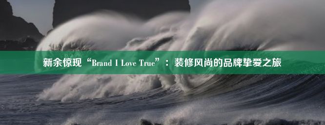 新余惊现“Brand I Love True”：装修风尚的品牌挚爱之旅