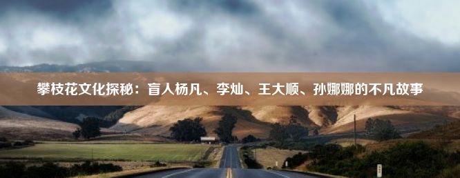 攀枝花文化探秘：盲人杨凡、李灿、王大顺、孙娜娜的不凡故事