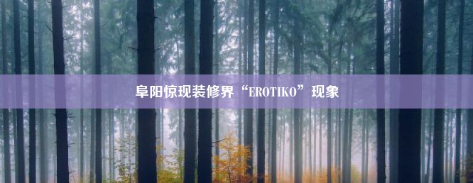 阜阳惊现装修界“EROTIKO”现象