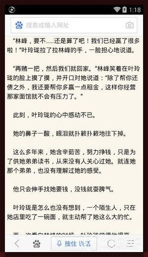 发了疯的索取她的美好：厦门自主装修总裁小说的疯狂之旅