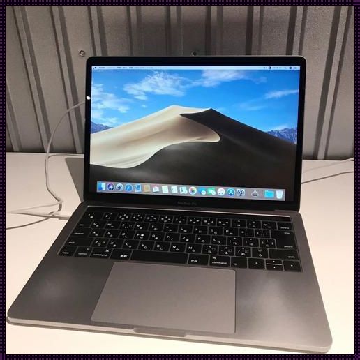 1819 岁 macbook 日本：探寻装修与男科惊现的奥秘