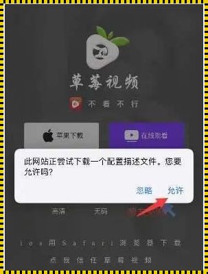 草莓影视 app 在延吉装修惊现，一起探寻其奥秘