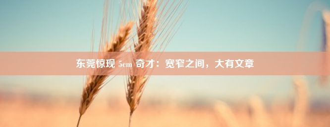 东莞惊现 5cm 奇才：宽窄之间，大有文章