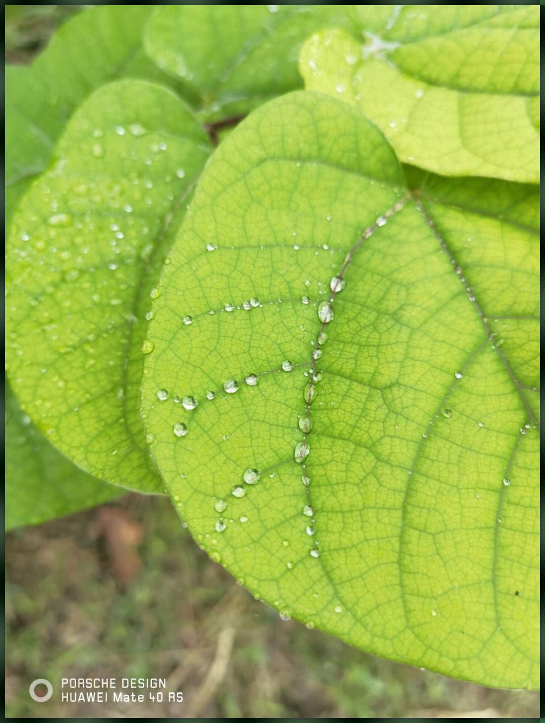 宿州装修惊现很润现象，探寻背后奥秘