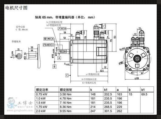 大将军 1v2lh：南雄装修惊现奇迹