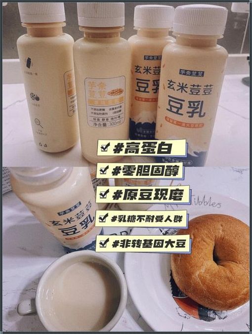 临沂惊现乳糖不耐受PO豆乳芝士：装修潮流的新风向