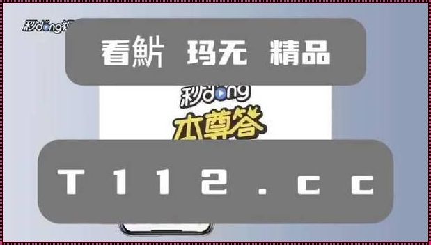 禹城惊现“装修热潮”，gogogo高清视频高清大全引领新潮流！