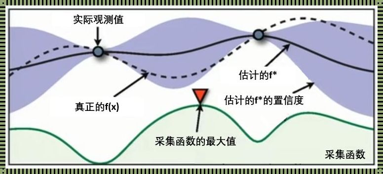 装修指南：莱芜药效1v2hpo揭秘