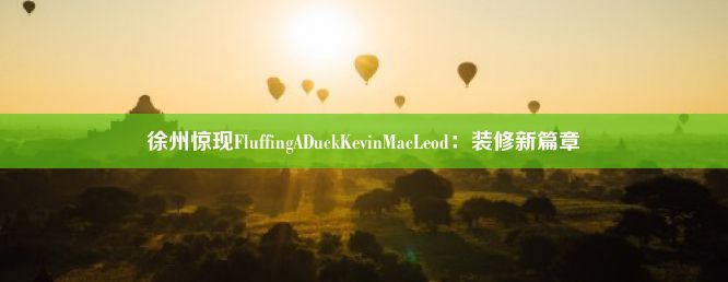 徐州惊现FluffingADuckKevinMacLeod：装修新篇章