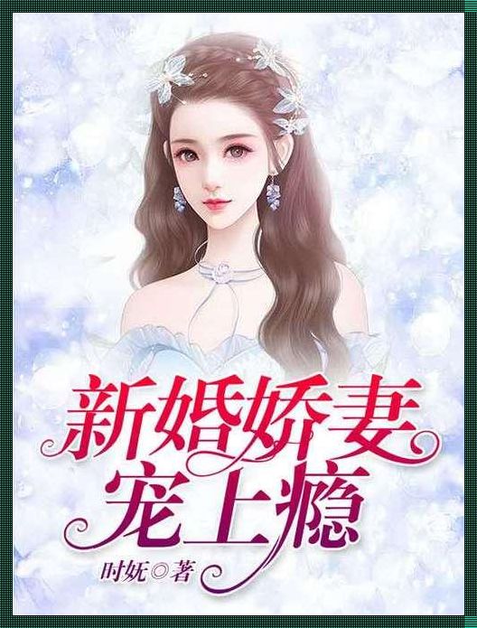 《赣州的装修，总裁小说的疯狂索取美好》