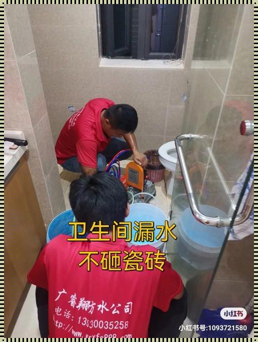 不砸砖解决卫生间漏水，百科惊艳之谈