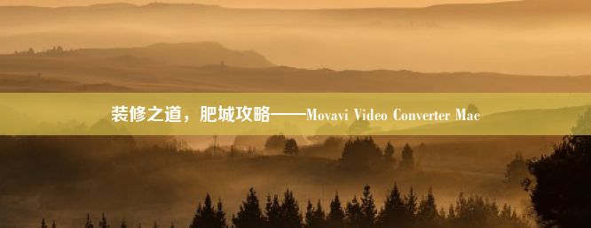 装修之道，肥城攻略——Movavi Video Converter Mac