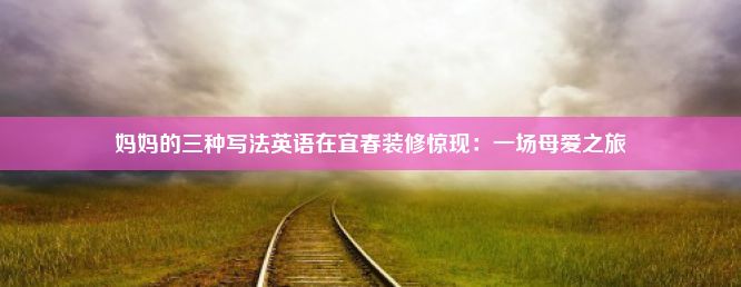 妈妈的三种写法英语在宜春装修惊现：一场母爱之旅