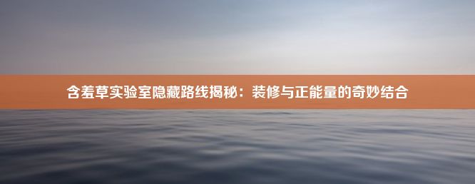 含羞草实验室隐藏路线揭秘：装修与正能量的奇妙结合