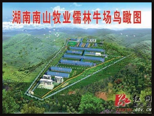 奶牛福建导航湖南教育：装修小技巧解析