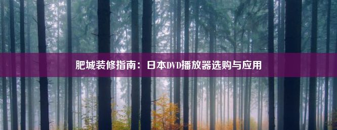 肥城装修指南：日本DVD播放器选购与应用