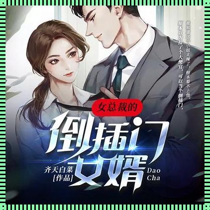 《商丘惊现：装修倒插门女婿小说全文》