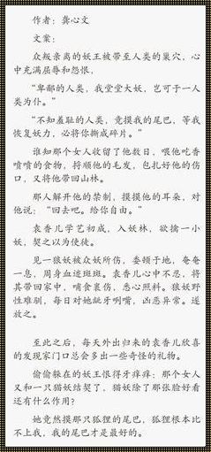 《巢湖惊现NP高干文：装修风云》