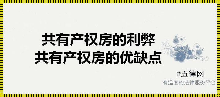 共有产权房：利与弊的双刃剑