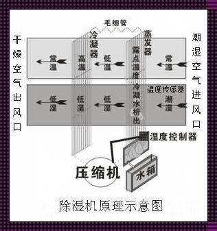 除湿和送风：改善空气循环的利器