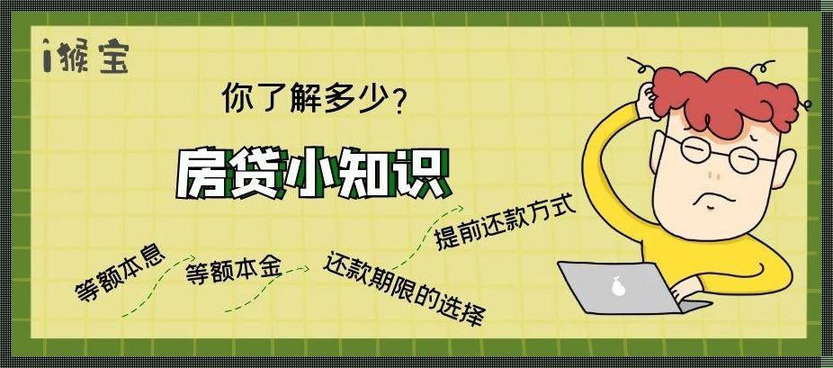 揭秘：本息还款与本金还款的差异，究竟有何玄机？