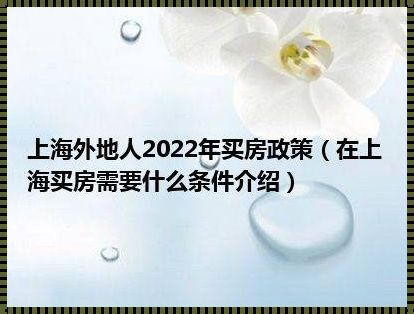 2023年上海外地人买房条件解析